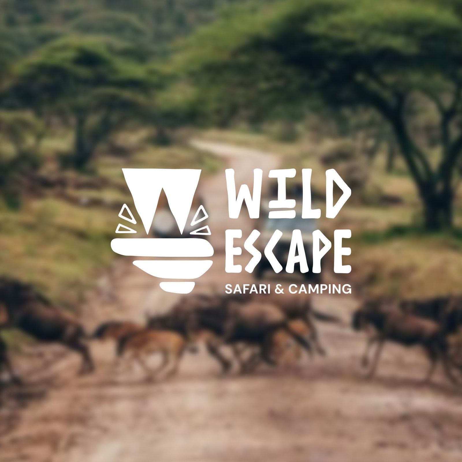 Wild Escape Branding | Copernicus