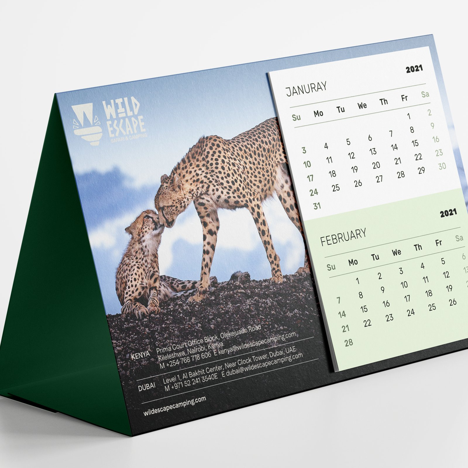 Wild Escape Branding 3 | Copernicus