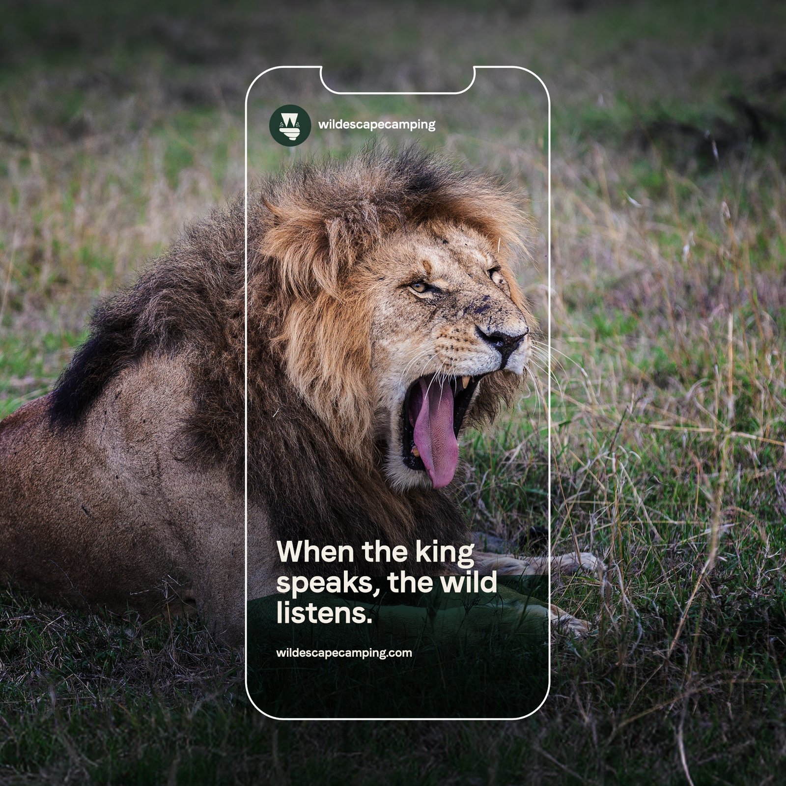 Wild Escape Branding 6 | Copernicus