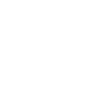 Coca Cola White Logo | Copernicus