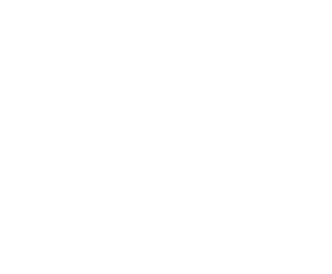 Pam Cargo White Logo | Copernicus