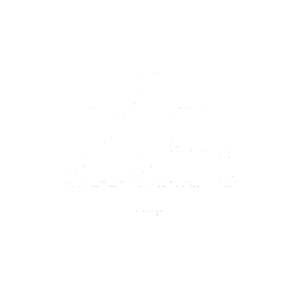Al Ain White Logo | Copernicus