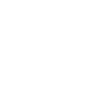 Honda White Logo | Copernicus