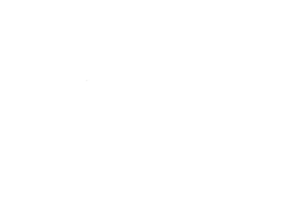 Empower White Logo | Copernicus