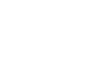 Honda White Logo | Copernicus