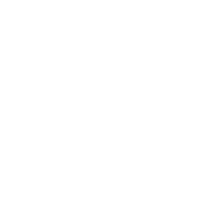 Unilever White Logo | Copernicus