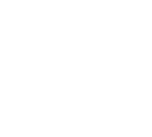 Honda White Logo | Copernicus