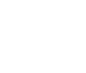 Hino White Logo | Copernicus