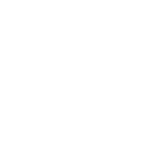 Unilever White Logo | Copernicus