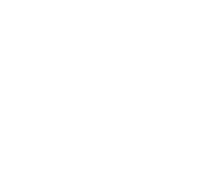 Hino White Logo | Copernicus